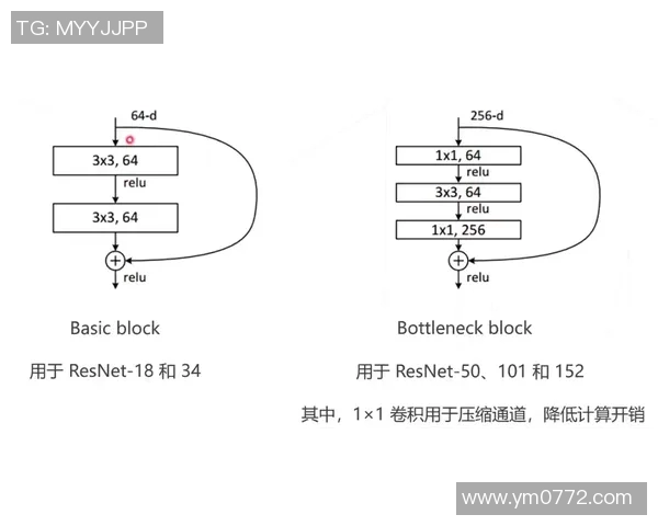 成都滑板队战术解析：如何实现灵活转换与高效进攻策略