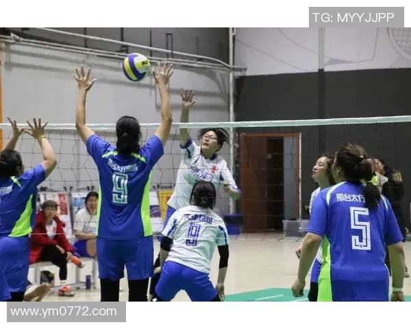 权威发布：2023年排球个人能力实力榜单全面解析与评比