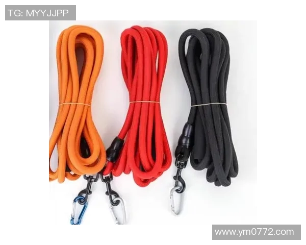 滑板战术解析：武汉滑板队如何构建高效快攻体系与战术配合