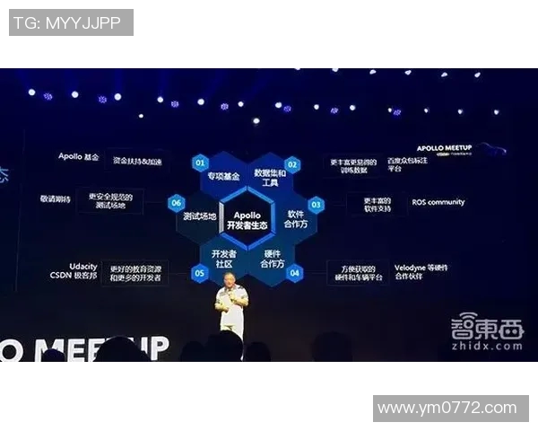 独家解析FPX技术优势与劣势的全面对比分析