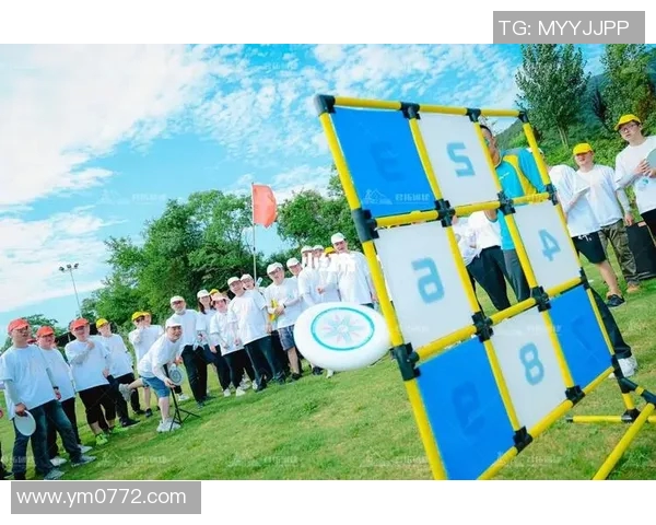 飞盘盛宴：深入武汉飞盘队的训练与比赛节奏探秘