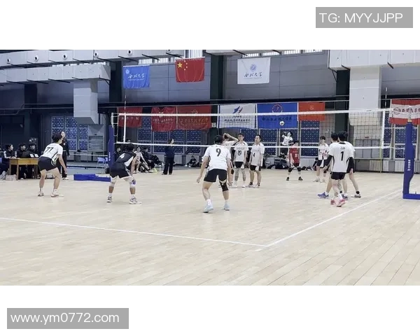 西安排球队实力解析与发展潜力探讨的全面分析与展望