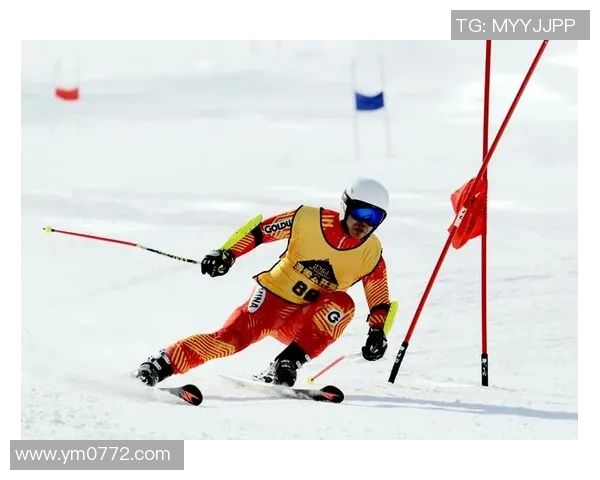 蝶泳技术解析与训练方法探讨提高竞技水平的关键因素