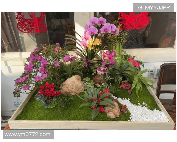 花卉种植技巧与园艺美学的完美结合打造家居绿意生活 花卉种植技巧与园艺美学的完美结合打造家居绿意生活