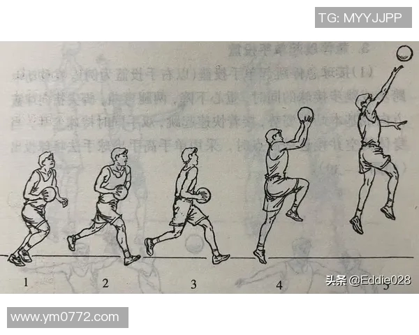 从零基础到篮球耐力高手的全面训练指南与实用技巧分享