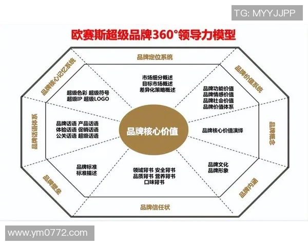 南京排球队的团队协作策略与实战表现深度分析与探讨