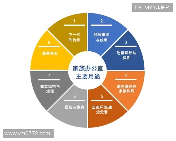 北京篮球队的团队协作与战术配合分析探讨
