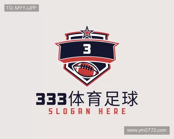 介绍333体育